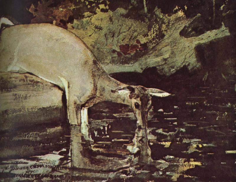 Winslow Homer Deer drink